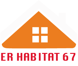 renovation-reinhard-eric